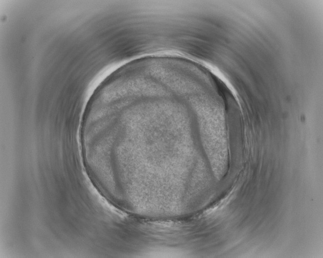 X0000059250959200511041330