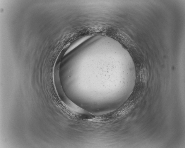 X0000059250961200511041330