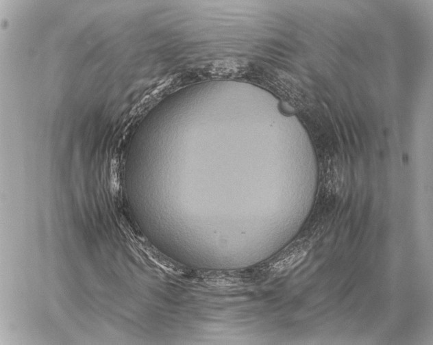 X0000059250962200511041330