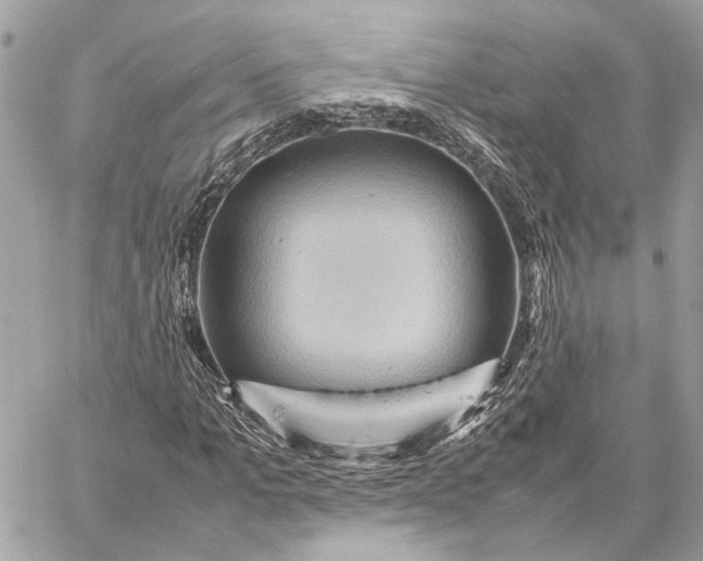 X0000059250965200511041329