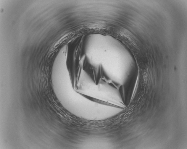 X0000059250968200511041329