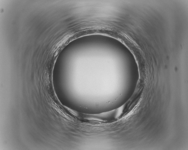 X0000059250969200511041329