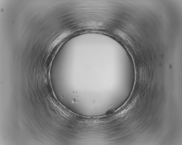 X0000059250970200511041329