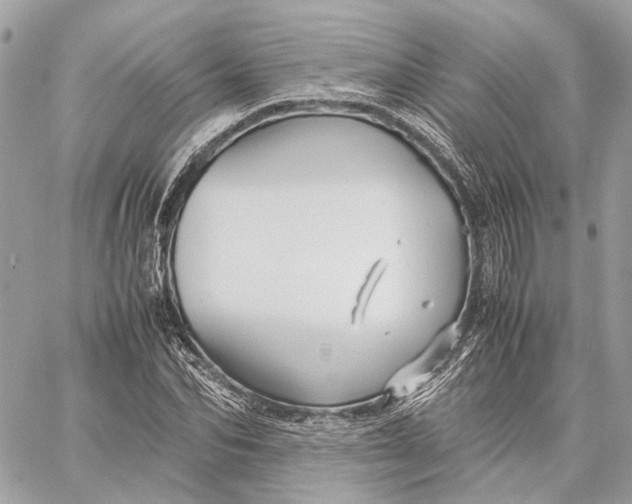 X0000059250974200511041329