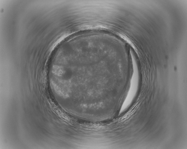 X0000059250975200511041329