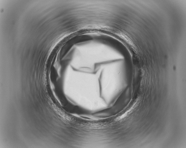 X0000059250976200511041329