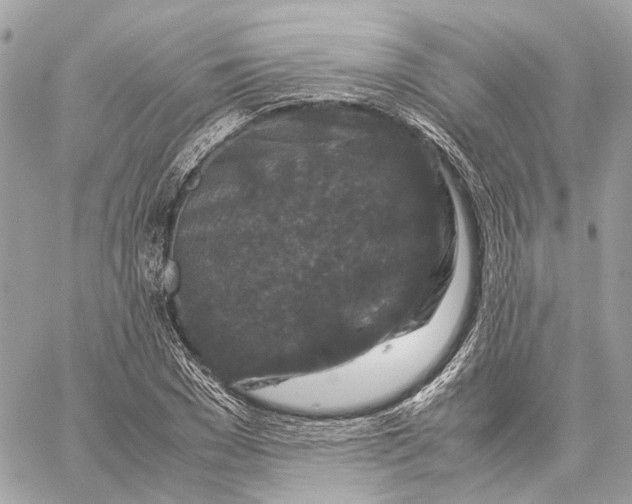 X0000059250977200511041329