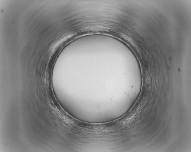 X0000059250979200511041329