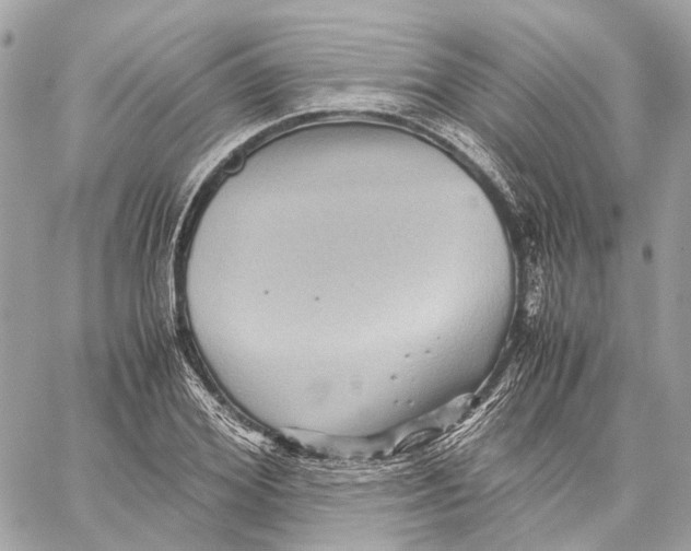 X0000059250980200511041329