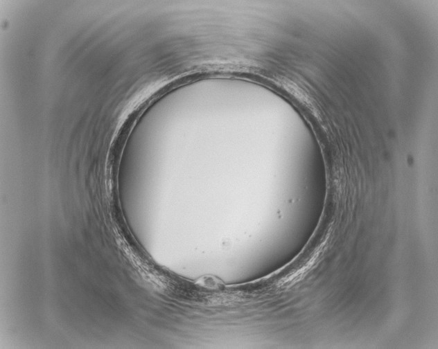 X0000059250981200511041329