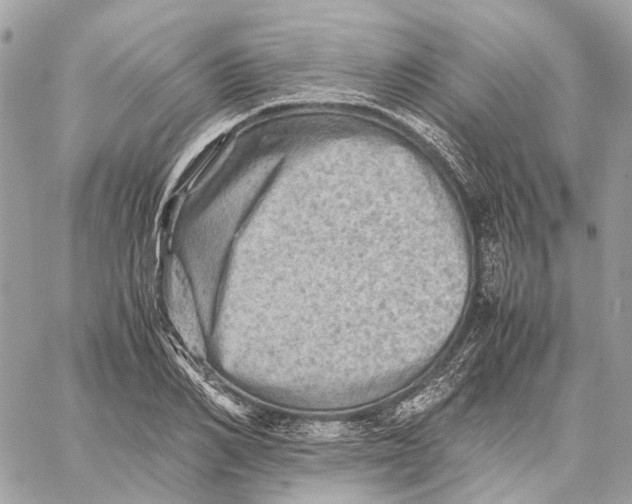 X0000059250982200511041329