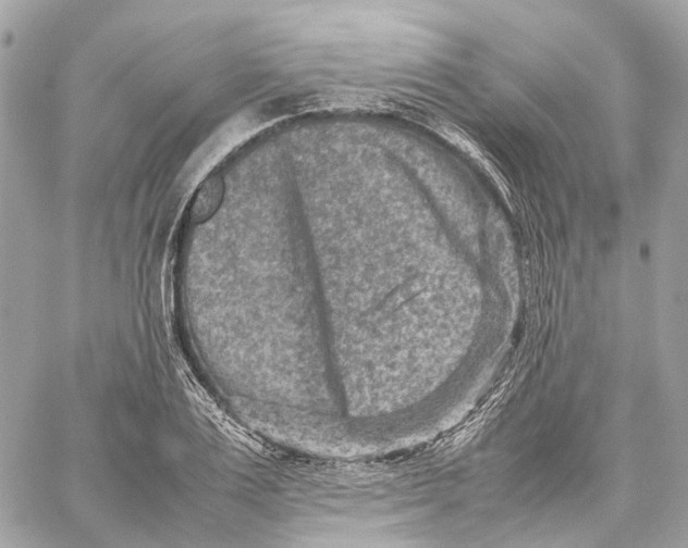 X0000059250983200511041329