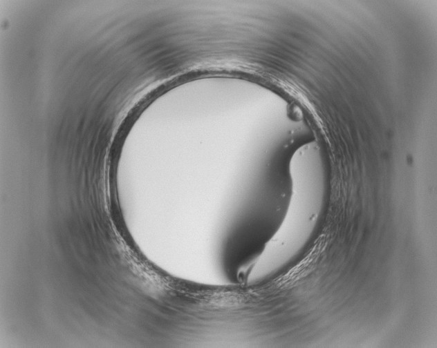 X0000059250984200511041329