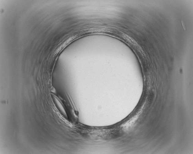 X0000059250985200511041329