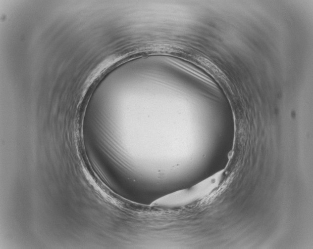 X0000059250989200511041329