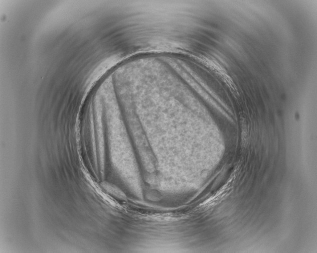 X0000059250990200511041329