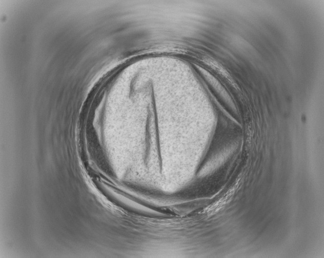 X0000059250991200511041329