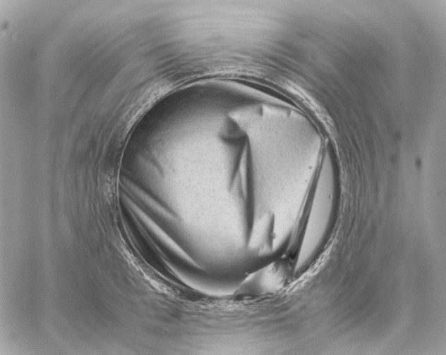 X0000059250993200511041329