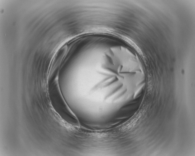 X0000059250996200511041329