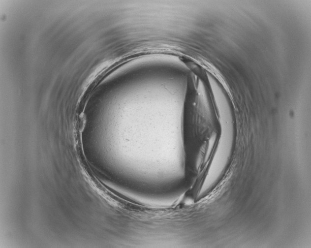 X0000059250997200511041329