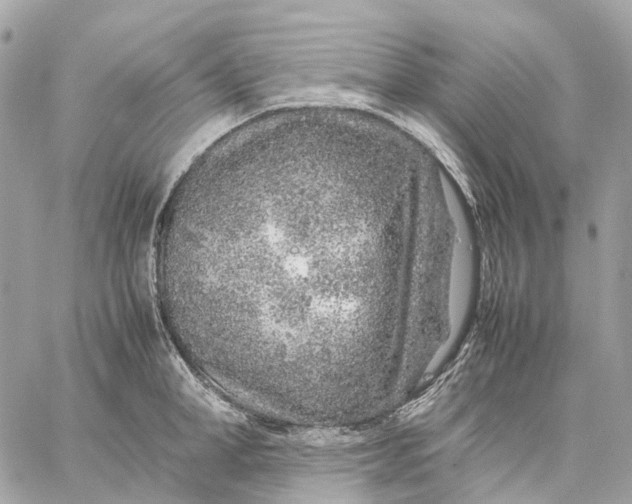 X0000059250998200511041329