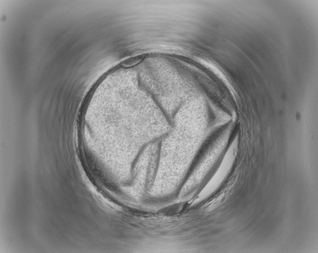 X0000059250999200511041329