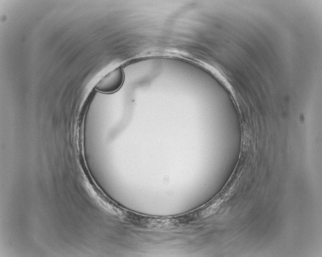 X0000059251003200511041329