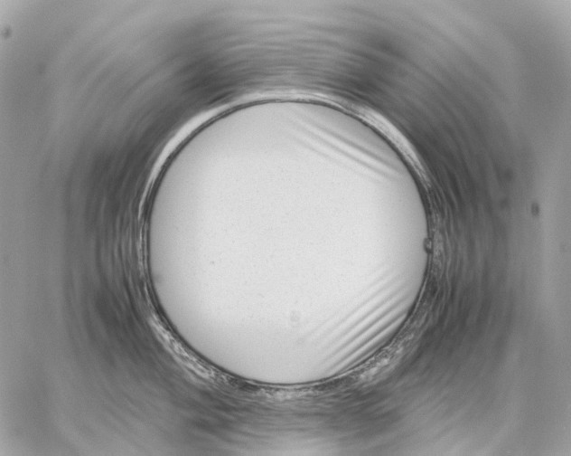 X0000059251004200511041329