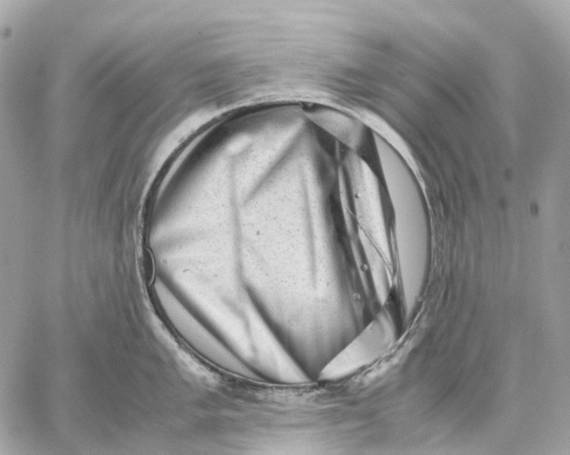 X0000059251005200511041329