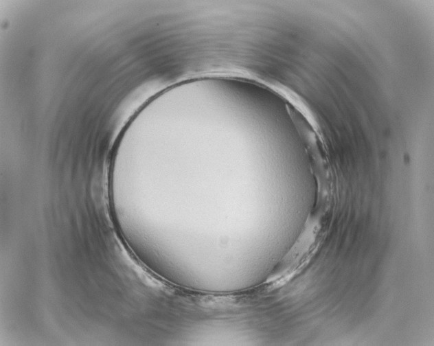 X0000059251006200511041329