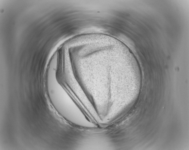 X0000059251008200511041329