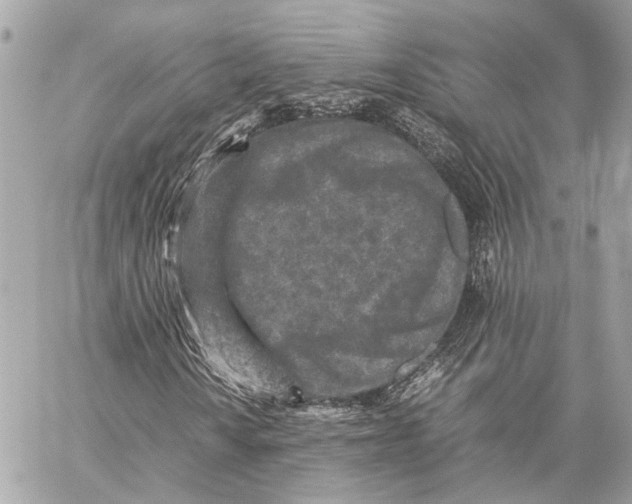 X0000059251010200511041328