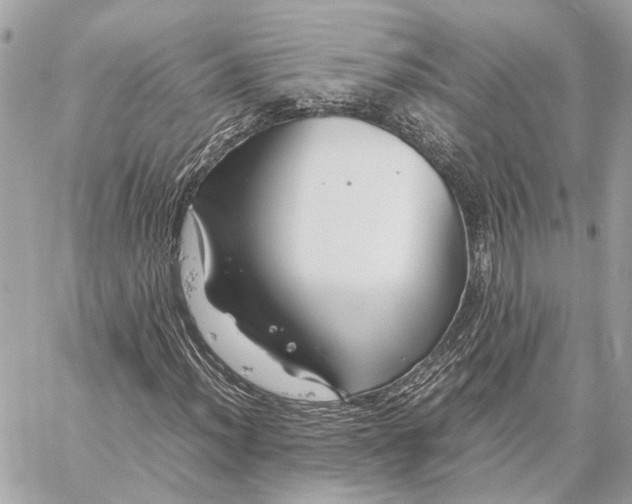 X0000059251012200511041328