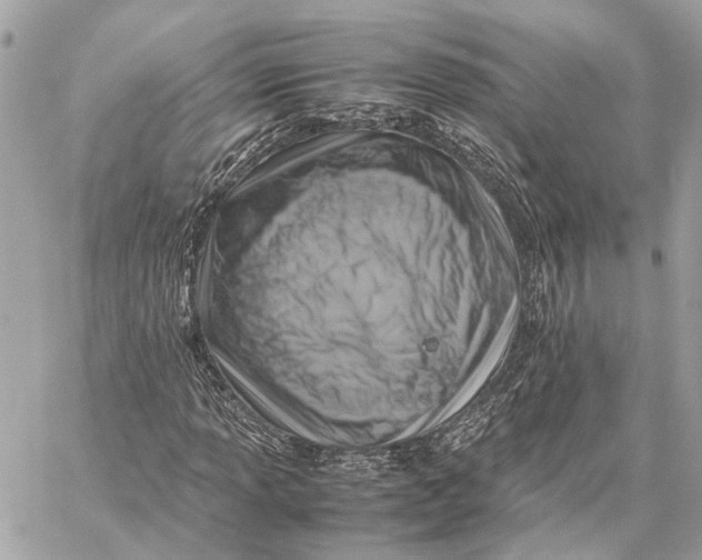 X0000059251013200511041328