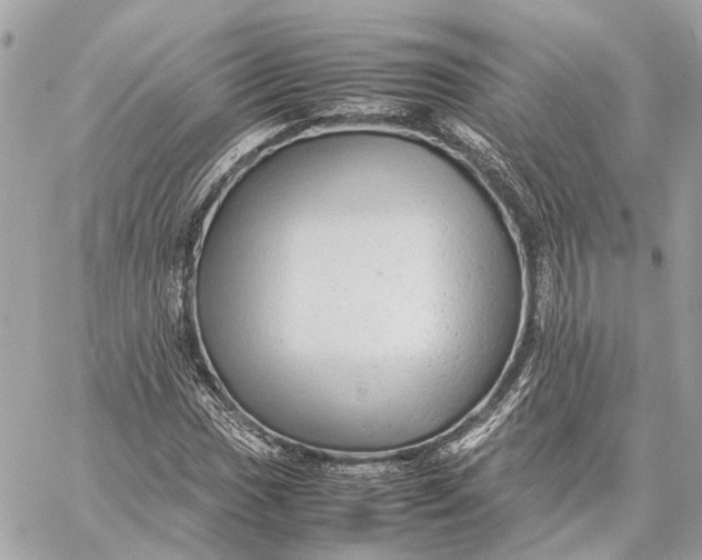 X0000059251017200511041328