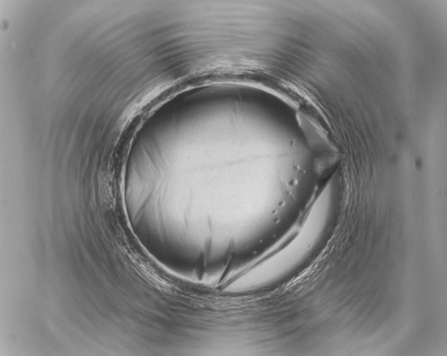 X0000059251018200511041328