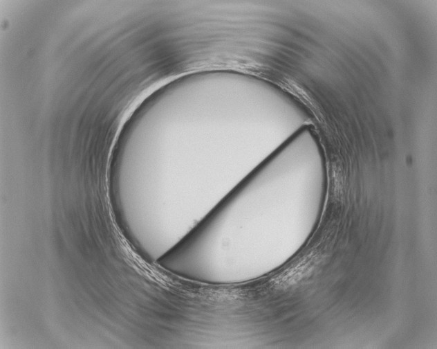 X0000059251020200511041328