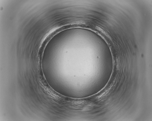 X0000059251021200511041328