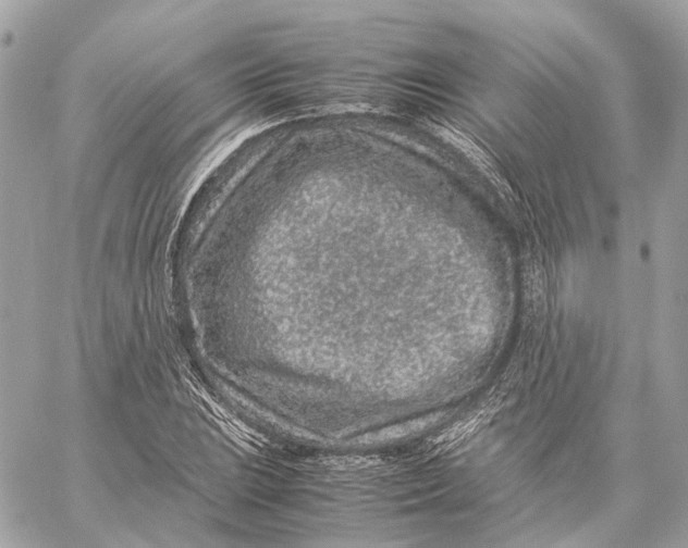 X0000059251023200511041328