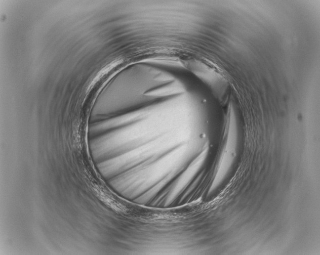 X0000059251026200511041328