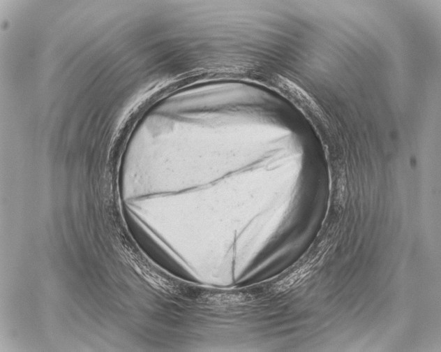 X0000059251027200511041328