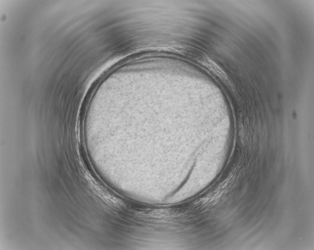 X0000059251028200511041328