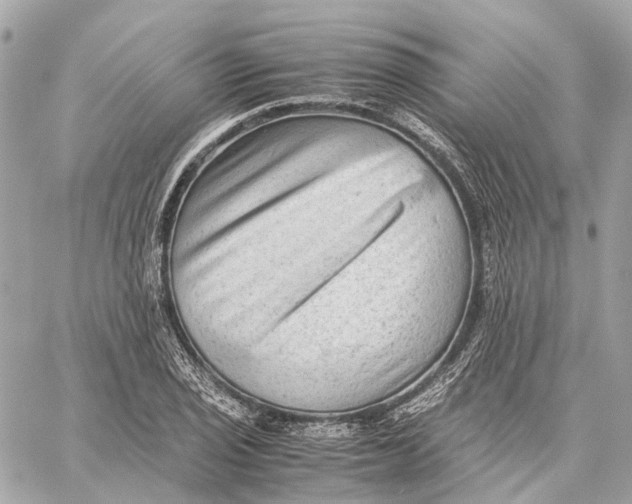 X0000059251029200511041328