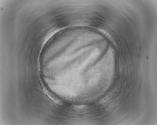 X0000059251031200511041328