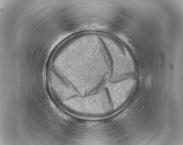 X0000059251032200511041328