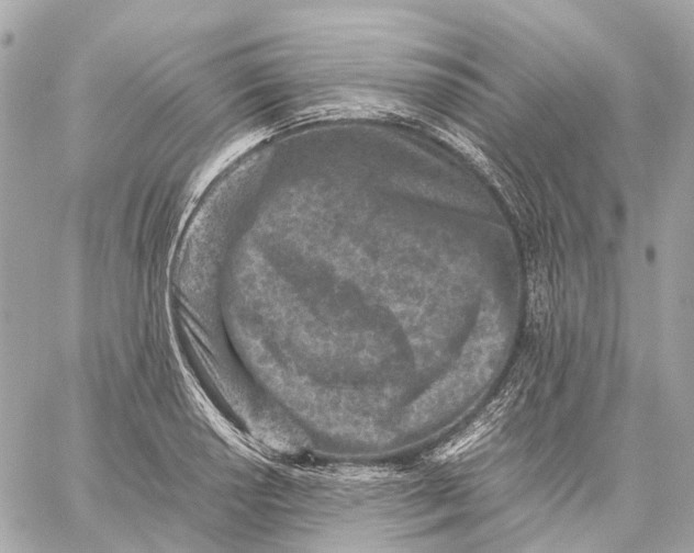 X0000059251034200511041328