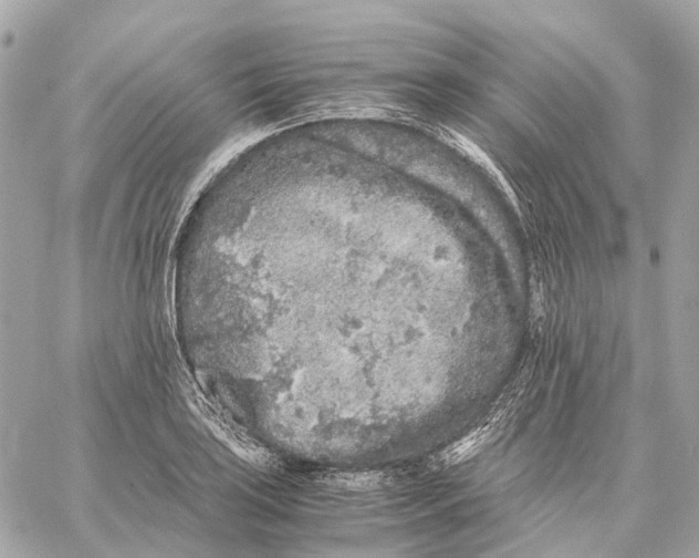 X0000059251035200511041328