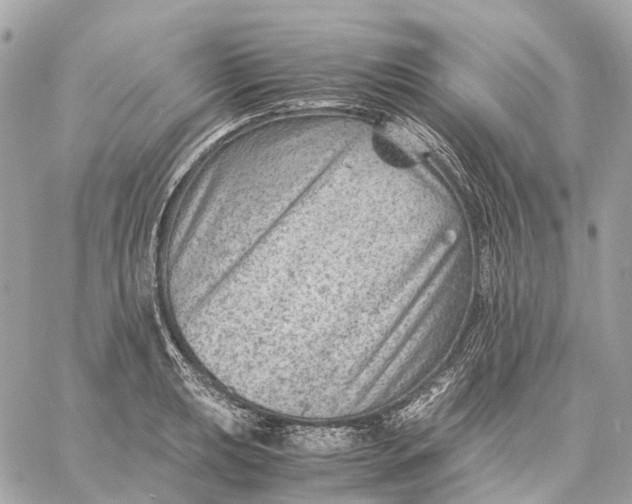 X0000059251039200511041328