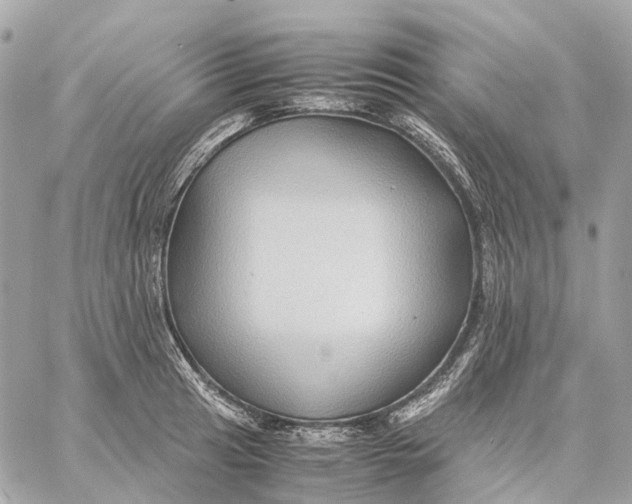 X0000059251041200511041328