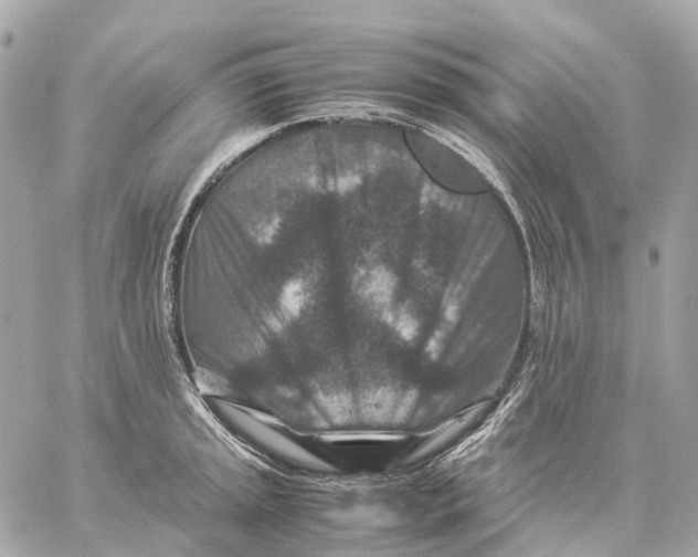 X0000059251045200511041329